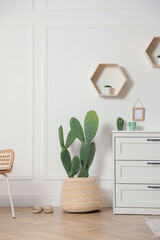 Stylish room interior with beautiful potted cactus and chest of drawers