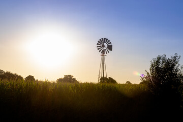 Paisaje de Campo