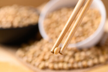 Close up soybean seed picking by chopsticks