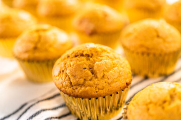 Pumpkin spice cupcake