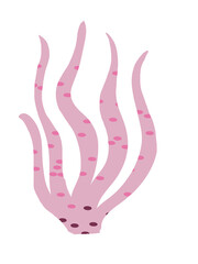 Pink algae with dot illustration 