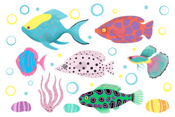 Set with bright and colorfull fish illustration 