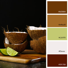 Designer Pack Color Palette inspired by natural fresh coconuts. Designer pack with photograph and...