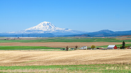 Mount Adams across the farmland of Klickitat County under clear blue sky in spring with the active volcano dominating the horizon © IanDewarPhotography