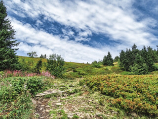 Fototapeta na wymiar A pedestrian hiking trail at mount Arber, a mountain in the bavarian forest