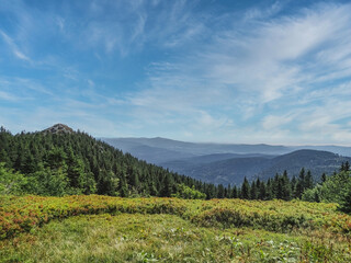 Fototapeta na wymiar view from a hiking path at mount Arber, a mountain in the bavarian forest