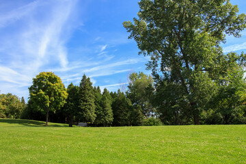 Summer in Andrew Haydon Park, Ottawa