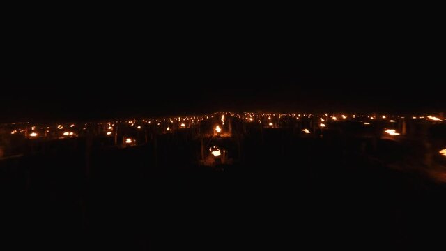 Slow close up aerial over the vines and Candles burning to heat up the Vineyards in Chablis, France