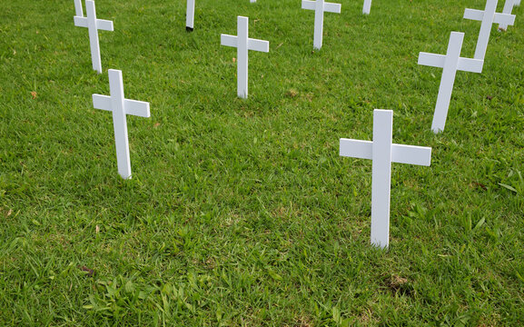 White crosses on a green field, representing lives lost in a war.