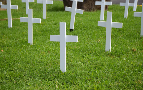 White crosses on a green field, representing lives lost in a war.
