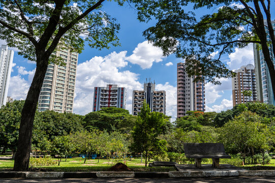 paisagem do parque Ceret em S&atilde;o Paulo 