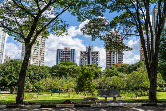paisagem do parque Ceret em S&atilde;o Paulo 