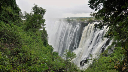 Fototapeta na wymiar The Zambezi River falls into the gorge in powerful streams. The fog is over the abyss. Lush green tropical vegetation is in the foreground. Victoria Falls. Zambia