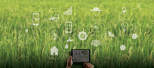 agriculture technology concept man Agronomist Using a Tablet in an Agriculture Field read a report...