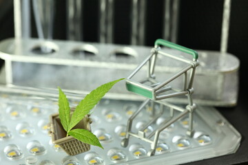 Miniature shopping trolley and basket with plant represent biological indoor gardening and grow lights concept related idea. 