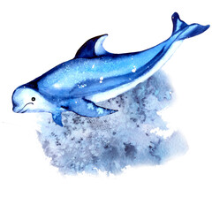 Dolphin isolated on a white background. Watercolor. Summer mood, sea, ocean.