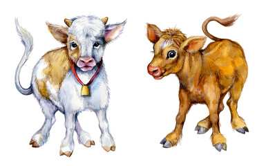 Watercolor cute baby bulls. Funny cows illustration isolated on white background. Farm animals.