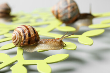 Snails and decorative tree on grey background