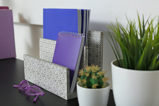 Modern organizer with notebooks, sunglasses and houseplants on table
