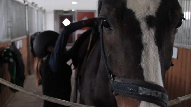 Girl preparing horse for riding