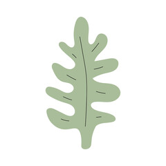 Green leaf. Cute spring or summer  illustration. Simple cartoon hand-drawn style. Scandinavian doodle. Vector isolates on a white background. 