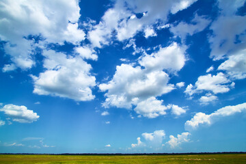 field and blue sky and cloud.