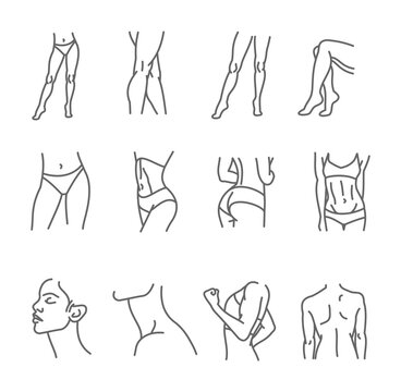 Female body icon set - thin line style, vector collection