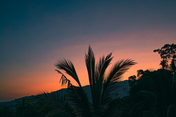 Colorful sunset sky over silhouettes of a trees and mountain on a tropical island. View from balcony.