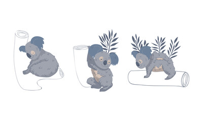 Cute Gray Koala Bear Sitting on Eucalypt Tree Trunk Vector Set