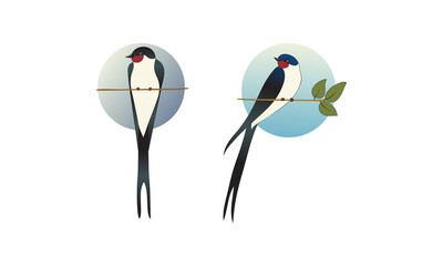 Swallow or Martin as Passerine Bird with Long Tail Perching on Tree Branch Vector Set
