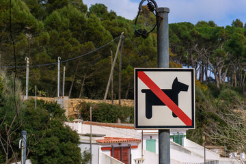 Traffic sign forbidden dogs on a forest road