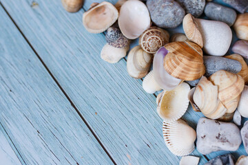 Summer beach background, seashells on light blue background. Top view. Sea summer vacation background