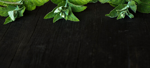 green mint leaves on a black wooden background