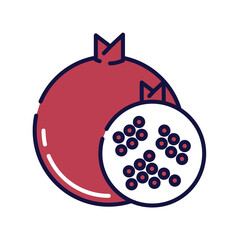 Illustration of pomegranate. Filled-outline icon of pomegranate. 