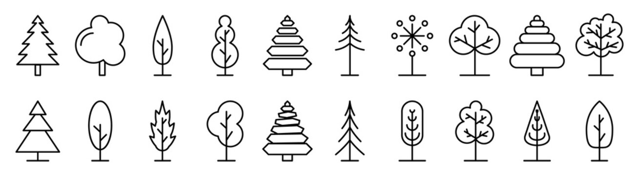 Tree icons. Set of linear tree icons. Different trees isolated. Vector illustration.