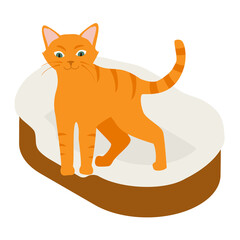 Ginger cat in his soft cozy bed cushion isolated on white background. Isometric view. Vector