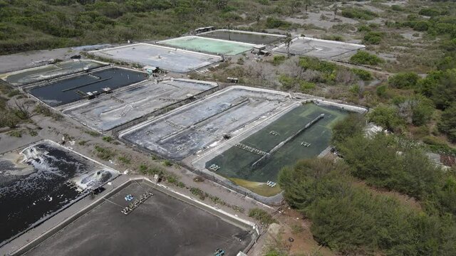 Aerial view of shrimp farm and air purifier in Yogyakata, Indonesia. Continuous growing aquaculture business is exported to the international market.