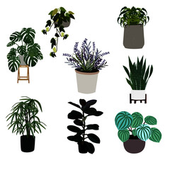 Plant set for decorations on white background.