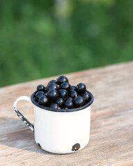 black currant berries in mug with currant leaf on light green natural background. Summer breakfast outside in country..