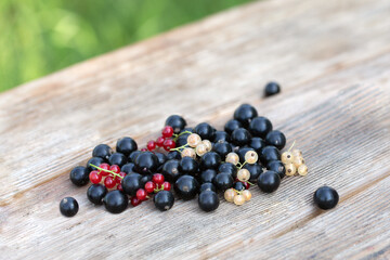 Scattered handful of white red and black currant berries on light wooden table outside on blurred natural green background. Picking berries in garden. Results of farm labor. Botanical postcard