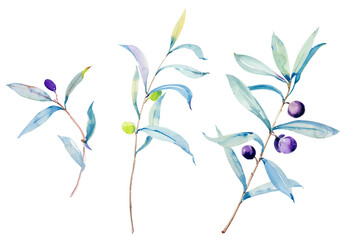 Flowers watercolor illustration.Manual composition.Design for cover, fabric, textile, wrapping paper .