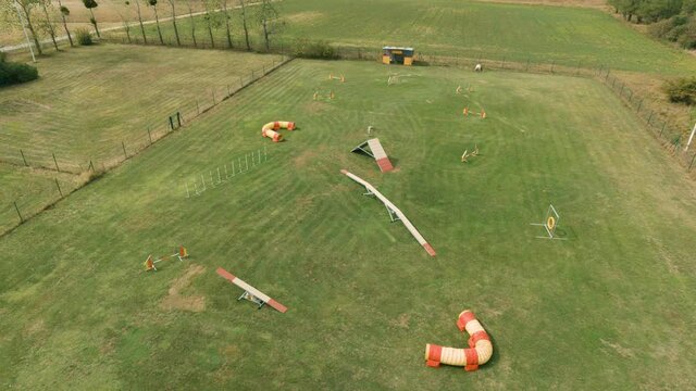 Dogs Parkour aerial view with many devices on a sunny summer day. Drone images from the agility devices in 4K real time. 