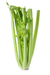 Fresh green celery isolated on white background