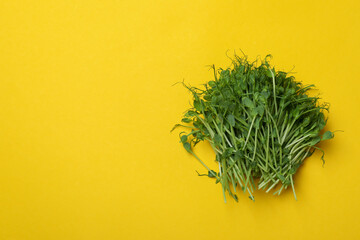 Group of bean sprouts on yellow background, space for text