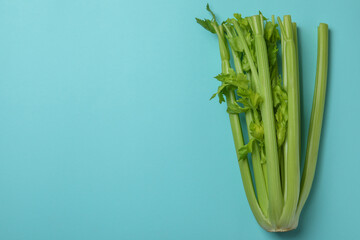Fresh green сelery on blue background, space for text