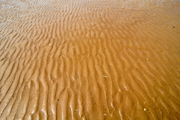 Walking on the beach in england, Holkland Beach North Sea