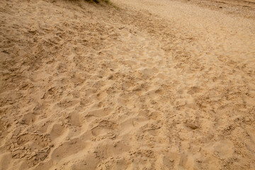 Walking on the beach in england, Holkland Beach North Sea