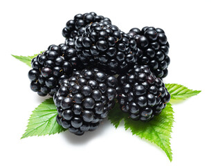 Blackberries with blackberry leaves isolated on a white.
