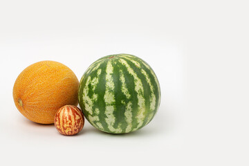Watermelon and melon in studio