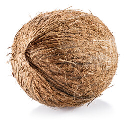 Coconut -large brown tropical fruit isolated on white background.